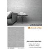 Đá mờ ốp tường Viglacera 300x600 AZ1-GM3602