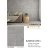 Đá mờ ốp tường Viglacera 300x600 AZ5-GM3602