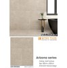 Đá mờ ốp tường Viglacera 300x600 AZ5-GM3604