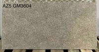 Đá mờ ốp tường Viglacera 300x600 AZ5-GM3604