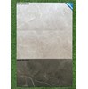 Đá mờ ốp tường Viglacera 300x600 MDK362029