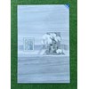 Đá ốp tường Viglacera 40x80 CLGP4809