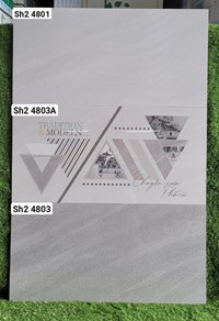 Đá ốp tường Viglacera 40x80 SH2-4801-4803