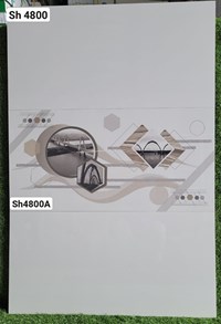 Đá ốp tường Viglacera 40x80 SH4800