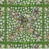 Đá sân vườn Đồng Tâm 4040GREENERY004