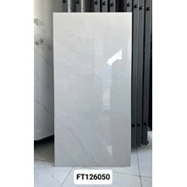 Gạch ốp lát Taicera 60x120 FT126050