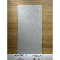 Gạch ốp lát Apodio 60x120 mờ C61SB610