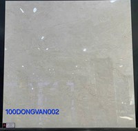 Gạch lát nền Đồng Tâm 100DONGVAN002