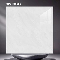 Gạch lát nền CMC 100x100 CPD11005S5