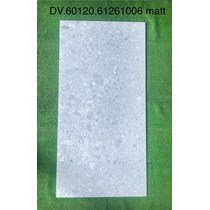 Gạch ốp lát Apodio 60x120 mờ 61261006