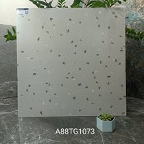 Gạch lát nền Apodio 80x80 mờ A88TG1073