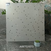 Gạch lát nền Apodio 80x80 mờ A88TG1073
