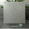 Gạch lát nền Apodio 80x80 mờ A88TG1073