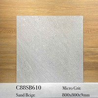 Gạch lát nền Apodio 80x80 mờ C88SB610