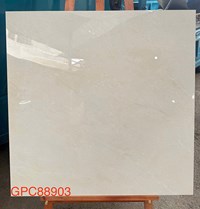 Gạch lát nền Taicera 80x80 GPC88903