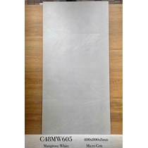 Gạch ốp tường Apodio 40x80 mờ C48MW605