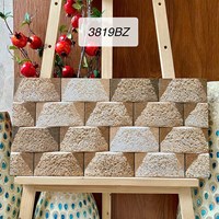 Gạch trang trí 3D Ấn Độ 30x60 3819BZ