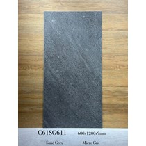 Gạch ốp lát Apodio 60x120 mờ C61SG611