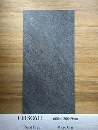 Gạch ốp lát Apodio 60x120 mờ C61SG611