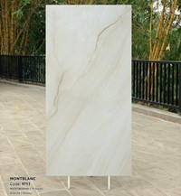 Gạch Tasa 90x180 bóng 9711