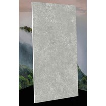 Gạch Vidona Mikado 60x120 mờ VD12602