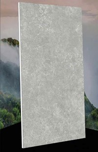 Gạch Vidona Mikado 60x120 mờ VD12602