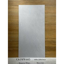 Gạch ốp lát Apodio 60x120 mờ C61MW605