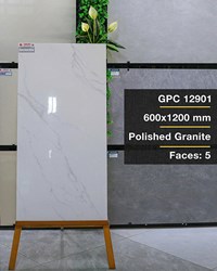Gạch ốp lát Taicera 60x120 GPC 12901