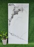 Gạch 60x120 Ấn Độ 3011