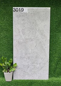Gạch 60x120 Ấn Độ 3019