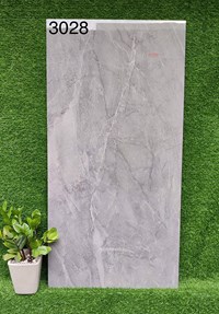 Gạch 60x120 Ấn Độ 3028