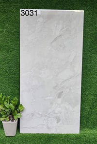 Gạch 60x120 Ấn Độ 3031