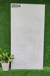Gạch 60x120 Ấn Độ 3504 mờ