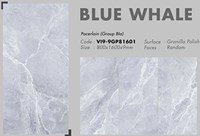 Gạch 80x160 Viglacera VI9-9GP81601