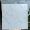 Gạch Ấn Độ 120x120 bóng 5501