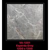 Gạch Ấn Độ 120x120 VA-1201