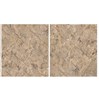 Gạch Ấn Độ 120x120 VA-1255