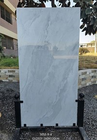 Gạch Ấn Độ 60x120 3055 R-4