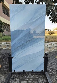 Gạch Ấn Độ 60x120 3061 R-4