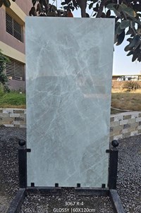Gạch Ấn Độ 60x120 3067 R-4