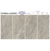 Gạch Ấn Độ 80x160 VA-816.61