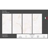 Gạch Ấn Độ 80x160 VA-816.79