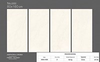 Gạch Ấn Độ 80x160 VA-816.82