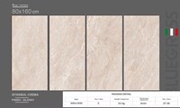 Gạch Ấn Độ 80x160 VA-816.89
