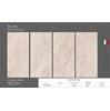 Gạch Ấn Độ 80x160 VA-816.89