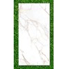 Gạch Ấn Độ 80x160 VA-BF86.105