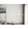 Gạch Đồng Tâm 60120LANGBIANG001