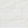 Gạch Đồng Tâm 60120LANGBIANG001
