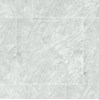 Gạch Đồng Tâm 6060TRANGAN004