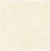 Gạch Đồng Tâm 80x80 ROME-004